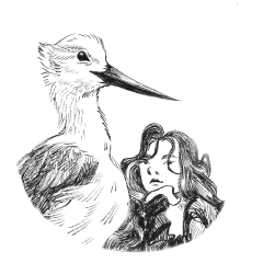 Les carnets du Shashire